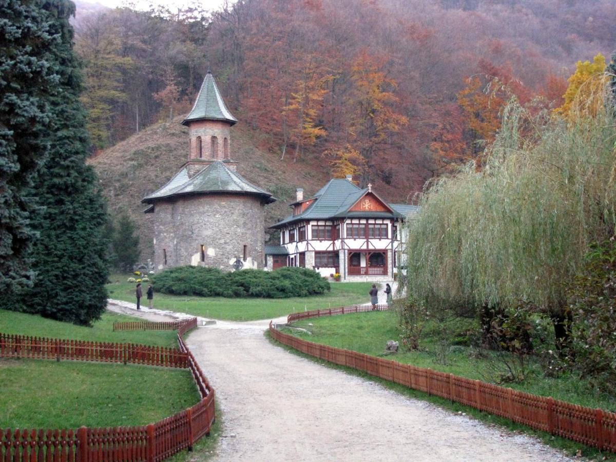 Near Center Apartment Petrosani Exterior photo